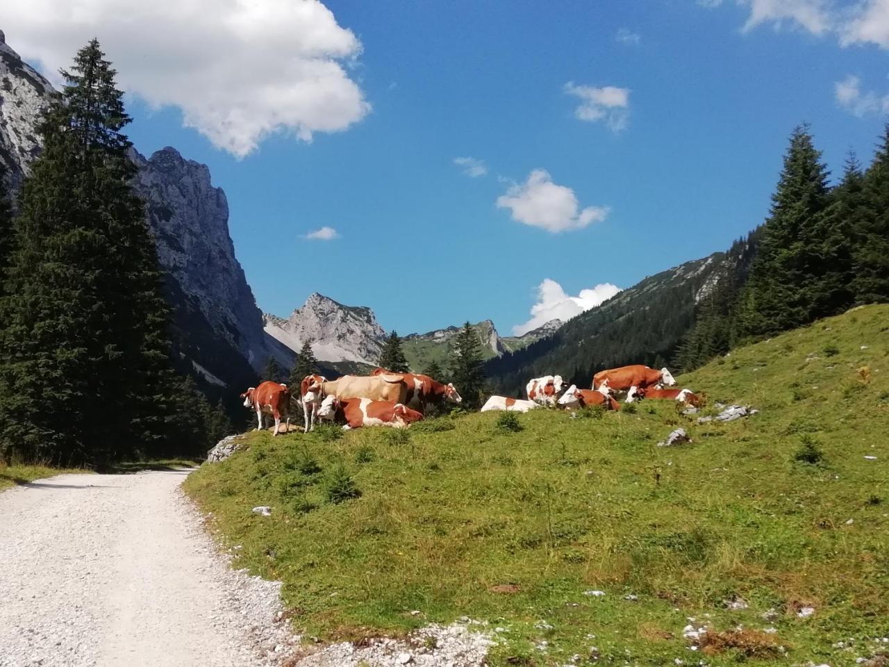 Gaestehaus Alpenblick Berwang Buitenkant foto
